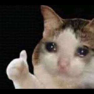 Meet your Posher, Bryan